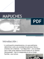 Power Point Mapuches