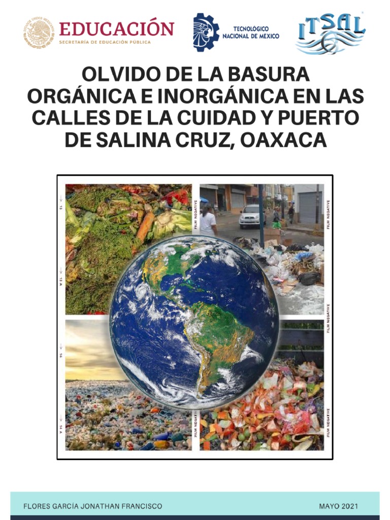 Actividado. Trabajo de Investigación Olvido de La Basura Orgánica e  Inorgánica en Las Calles de La Cuidad y Puerto de Salina Cruz, Oaxaca | PDF  | Evaluación del ciclo de vida | Residuos