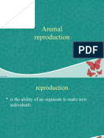 Animal Reproduction