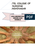 Nursing Collaboration Models and Issues