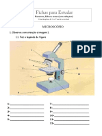 Ficha_partes_do_microscopio