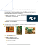 Adaptações das plantas à falta de luz na floresta tropical