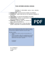 Estructura Informe (II Unidad)