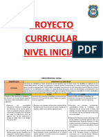 Pci Inicial