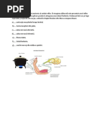 Arcul reflex este substratul anatomic al actului reflex