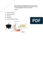 Arcul Reflex Este Substratul Anatomic Al Actului Reflex