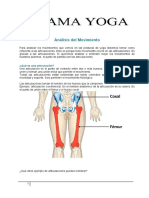 Clase 2 - Anatomia para el movimiento