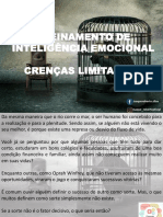 Treinamento Inteligencia Emocional - Crenças Limitantes