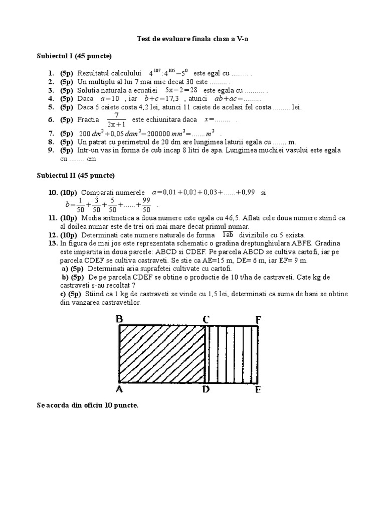 Test Final Clasa A V-A | PDF
