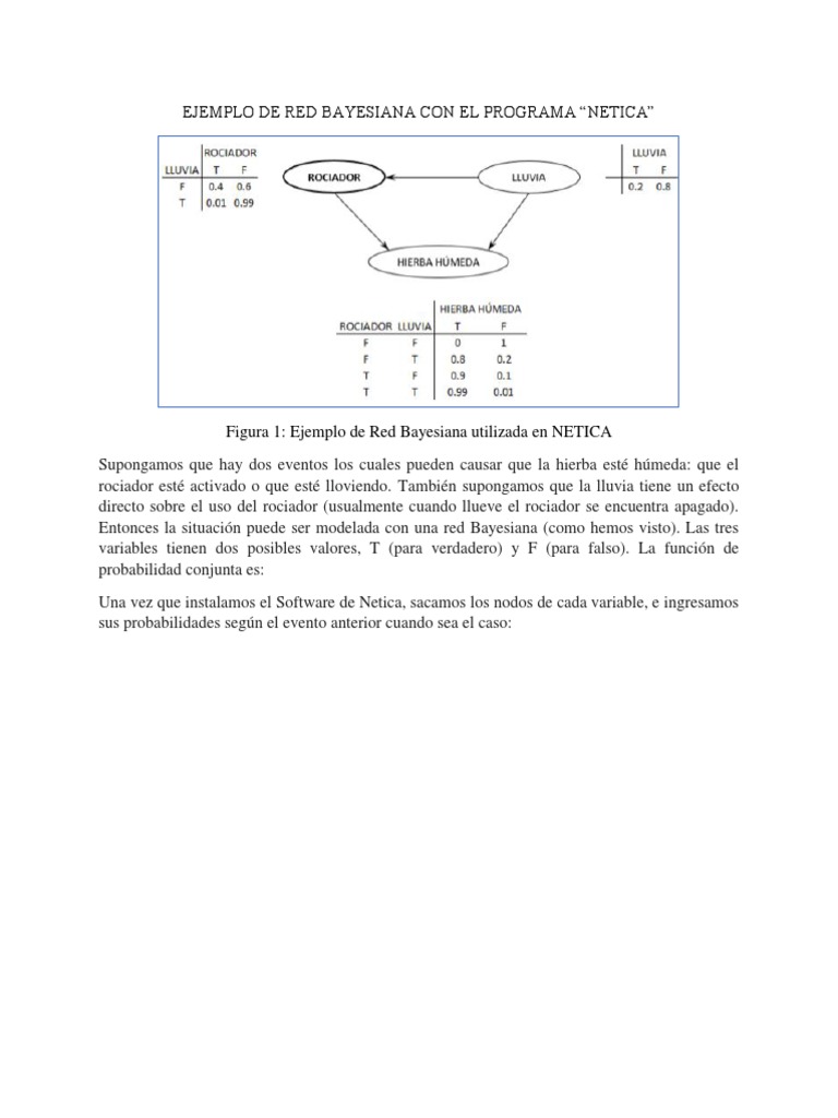 Red Bayesiana en NETICA | PDF | Red Bayesiana | Enseñanza de matemática