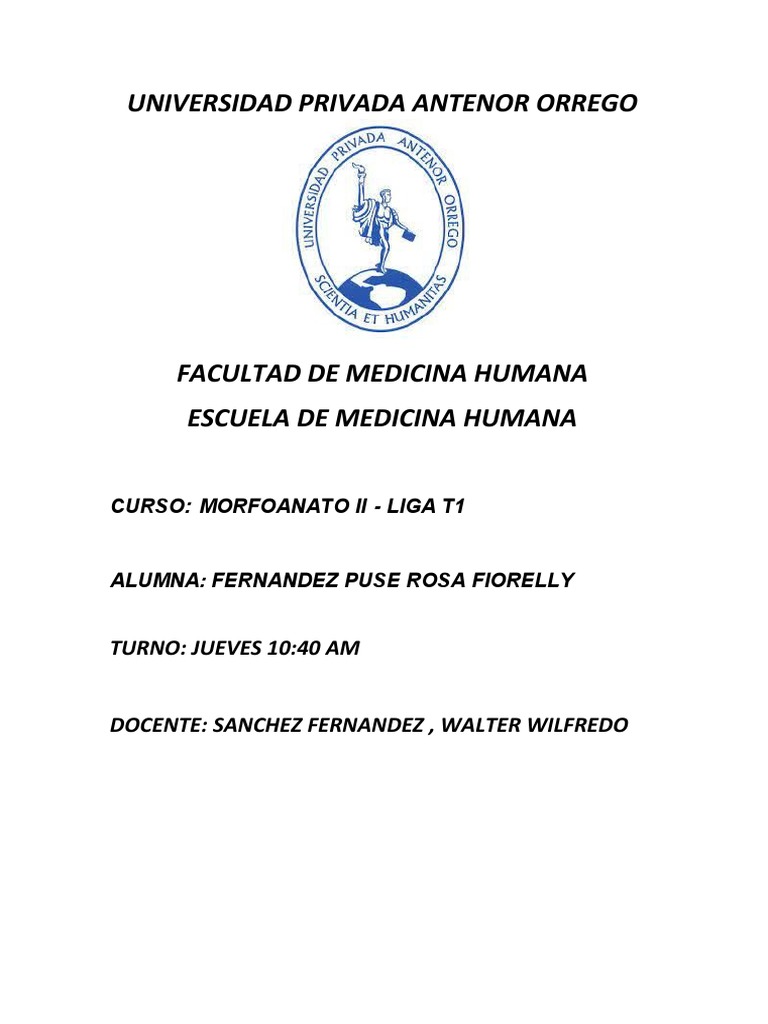 S10ANATO | PDF