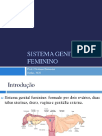 Sistema Genital Femenino