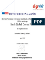 Prevención Universal y Ambiental - 2 - 1 - Certificado de Finalización