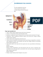 Sistem Reproduksi Pada Manusia