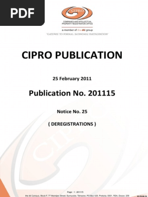 Cipro Publication Pdf Business Process Economic Sectors