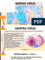 HERPES VIRUS 1