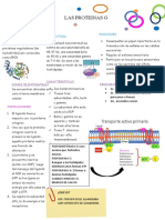 PROTEINAS G Seminario 3