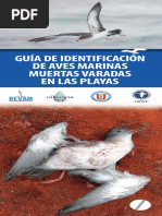 Guia Aves Marinas Muertas