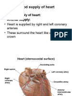 4. Blood Supply of Heart