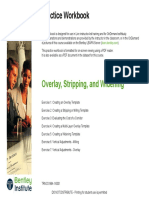 Overlay Stripping and Widening Practice Workbook