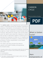 Carbon Cycle-कनवर्ट की हुई