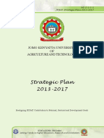 2013 2017 Strategic Plan