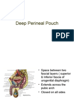 Deep Pouch