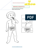 Fichas Del Sistema Digestivo para Niños de 4 Años