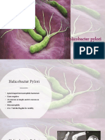 H. Pylori