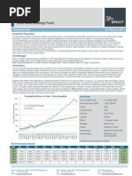 2011-02-28 Brait Multi Strategy Fund Overview