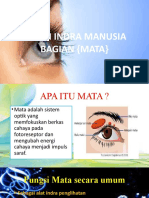 Indra Penglihat (Mata)