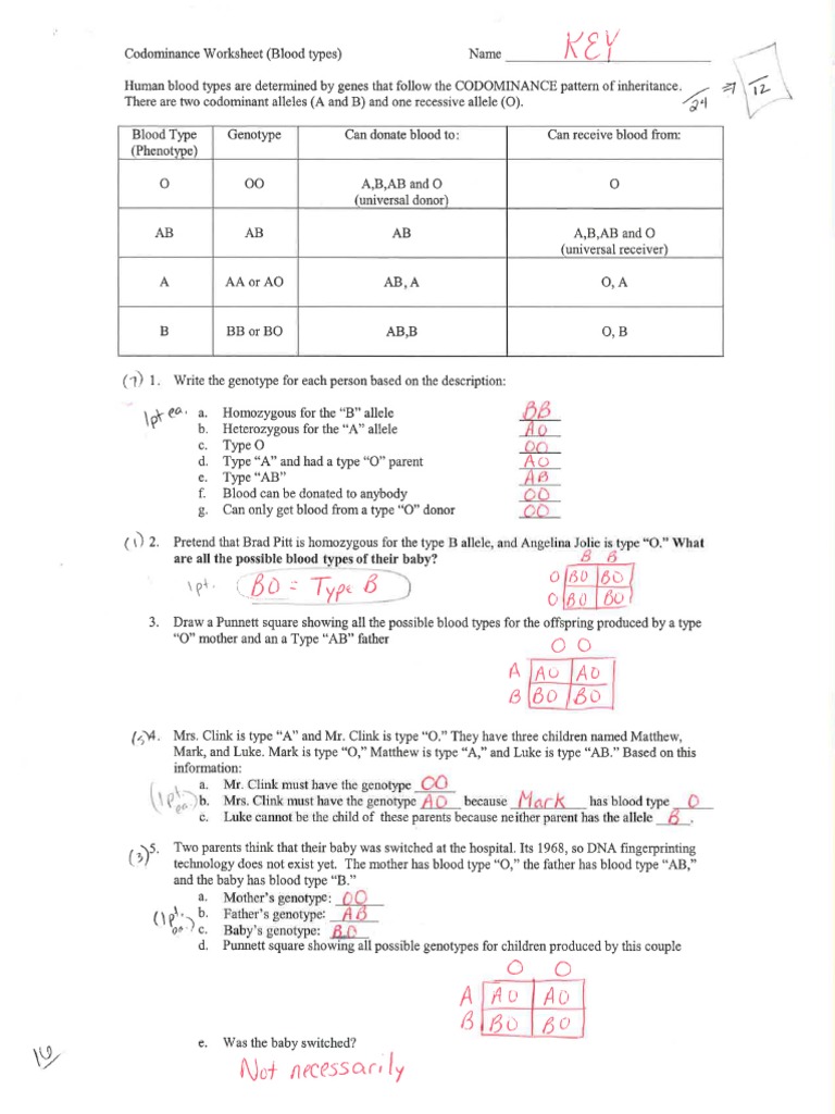 Codominance Worksheet Blood Types KEY | PDF