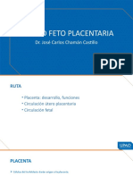 Unidad Fetoplacentaria - Pruebas de Bienestar Fetal