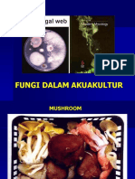Fungi-S1 190410