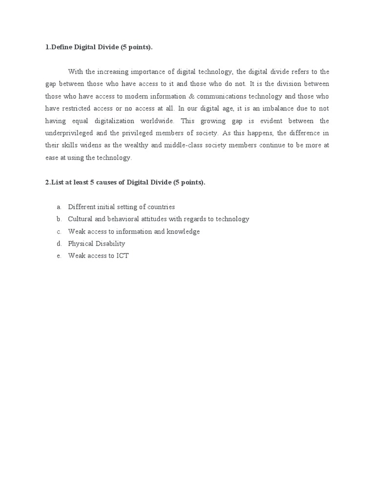 Digital Divide PDF