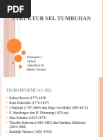 Struktur Sel Tumbuhan