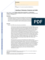 Ketosis and Brain Handling of Glutamate, Glutamine and GABA