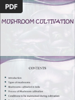 Download MUSHROOM CULTIVATION by Kanwarpreet Kaur SN51298374 doc pdf