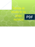 2021 JF EPB Estudio de Ácidos Nucleicos