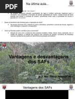Aula 3 - Vantagens e desvantagens dos SAFs