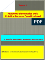 Tema 1 ASPECTOS FUNDAMENTALES DE PRACTICA CONSTITUCIONAL Diapositivas