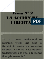 Tema 2 ACCION DE LIBERTAD Diapositivas