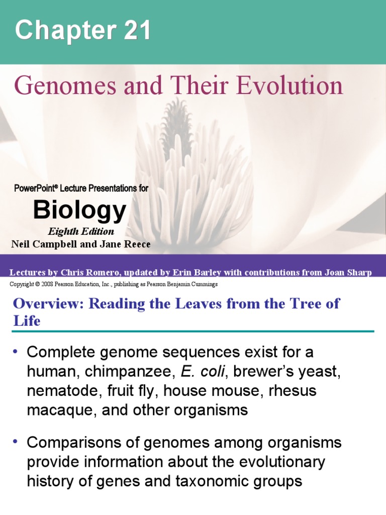 Genomes and Their Evolution: Biology | PDF | Transposable Element | Genome
