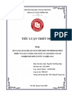 Tiểu luận triết 