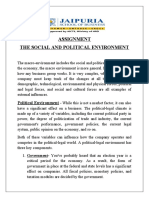 Assignment-The Social and Political Environment
