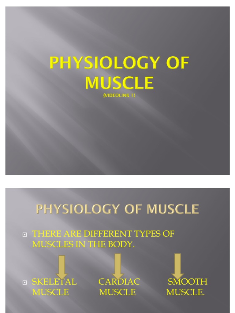 Physiology of Muscle | PDF | Muscle Contraction | Myocyte