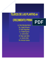 PDF Clase Meristemos y Tejidos en Crecimiento Primario