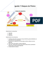 Crisis de Angustia Y Ataques de Pánico