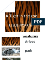 A Tiger in Captivity
