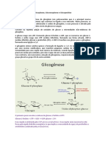 Glicogênese, Gliconeogênese e Glicogenólise